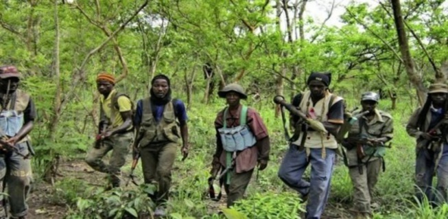 Ziguinchor: trois (3) jeunes enlevés dans la forêt de Bilasse