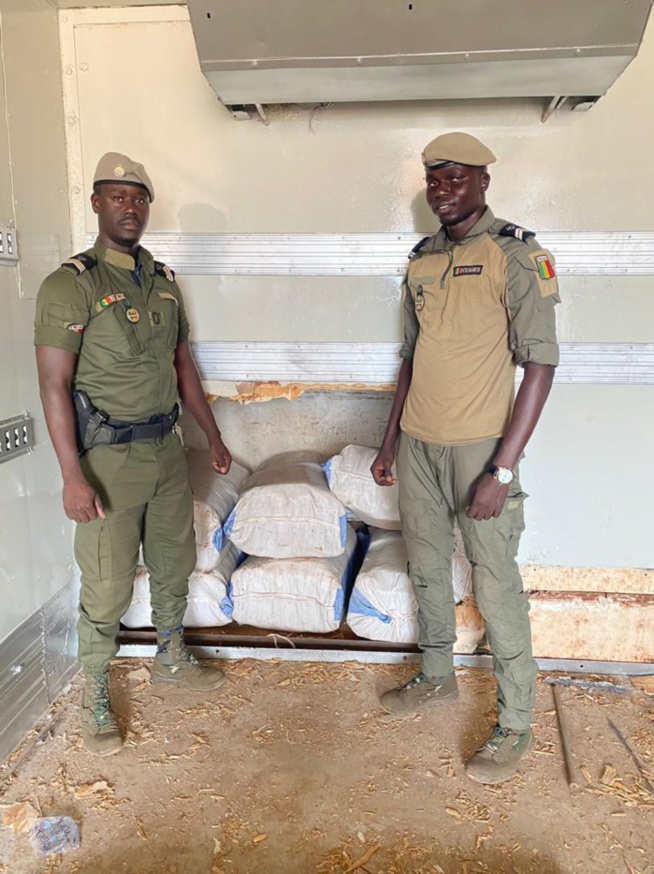 Corridor Dakar-Bamako: 1,458 tonne de chanvre indien saisie par la Douane Corridor Dakar-Bamako: 1,458 tonne de chanvre indien saisie par la Douane