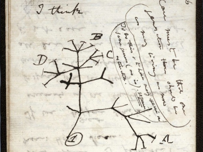 Qui a volé les carnets de Charles Darwin ?