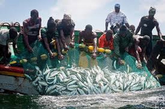 Rufisque: Sa marche interdite, l’Unapas étale sa colère au quai de pêche Rufisque: Sa marche interdite, l’Unapas étale sa colère au quai de pêche