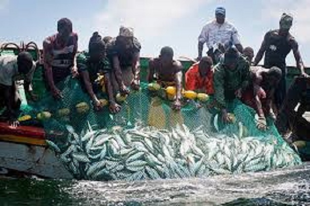 Rufisque: Sa marche interdite, l’Unapas étale sa colère au quai de pêche