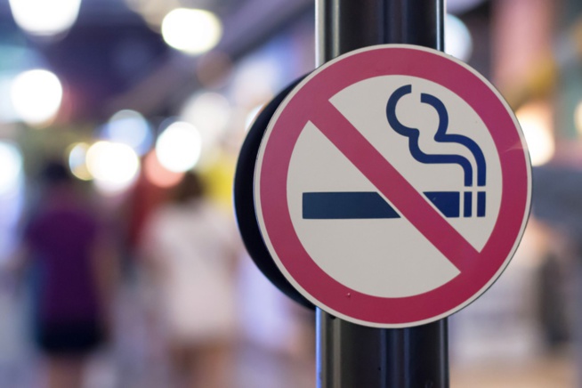 « Le tabagisme tue 8 millions de personnes par an », selon le Directeur de l'OMS « Le tabagisme tue 8 millions de personnes par an », selon le Directeur de l'OMS