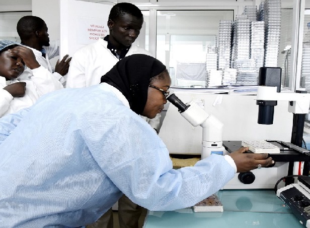 Gestion de la COVID- 19 : L’éloge de l’Oms sur le «leadership sénégalais» dans la riposte Gestion de la COVID- 19 : L’éloge de l’Oms sur le «leadership sénégalais» dans la riposte