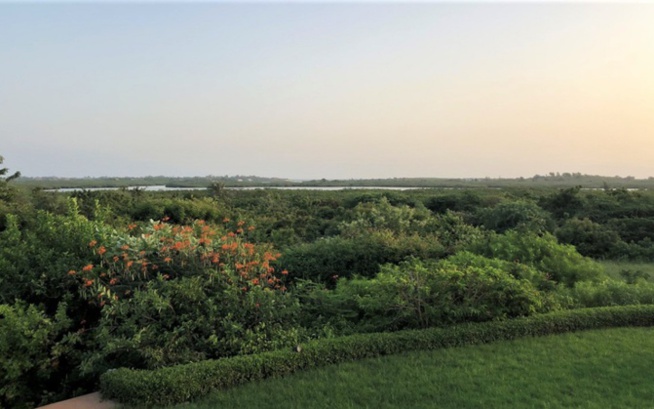 Projet "les collines de Guereo": un "baquage" avorté sur 378 hectares Projet "les collines de Guereo": un "baquage" avorté sur 378 hectares