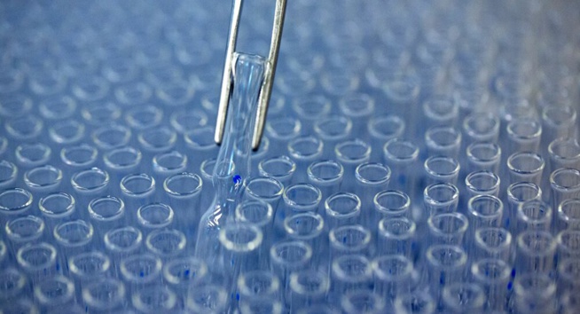 Berlin prêt à collaborer avec Moscou sur la production de ses vaccins contre le Covid-19