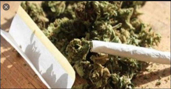 Trafic de drogue : Un artiste-musicien écope de 2 ans de prison ferme Trafic de drogue : Un artiste-musicien écope de 2 ans de prison ferme