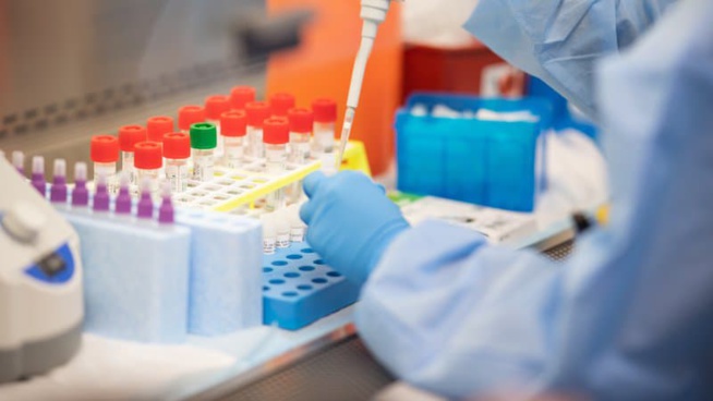 Nouvelle souche du Covid: un premier cas détecté en France Nouvelle souche du Covid: un premier cas détecté en France