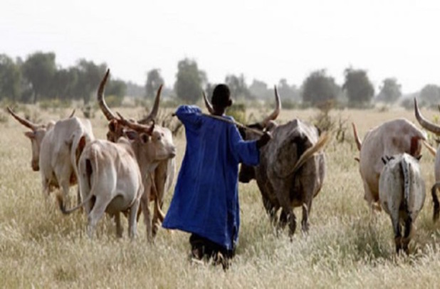Sénégal : Hausse de l’activité économique interne au mois d’octobre Sénégal : Hausse de l’activité économique interne au mois d’octobre