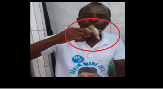 Des militants du PDS « maudissent » Macky avec des oiseaux Des militants du PDS « maudissent » Macky avec des oiseaux