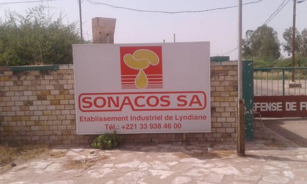 Kaolack - Approvisionnement déficitaire en arachide: Les employés de la Sonacos exposent leurs craintes Kaolack - Approvisionnement déficitaire en arachide: Les employés de la Sonacos exposent leurs craintes