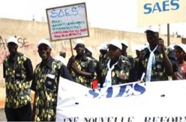 Le Saes sur la rentrée universitaire : vers de grandes perturbations si… Le Saes sur la rentrée universitaire : vers de grandes perturbations si…