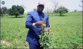 Campagne agricole : Le Président Sall brandit les récoltes battant les records Campagne agricole : Le Président Sall brandit les récoltes battant les records