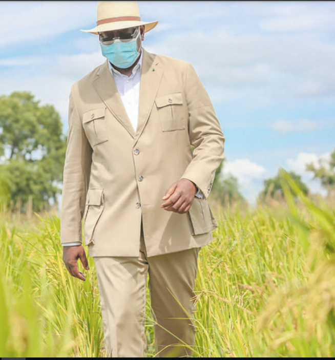 Campagne agricole 2020-2021: L’année de tous les records Campagne agricole 2020-2021: L’année de tous les records