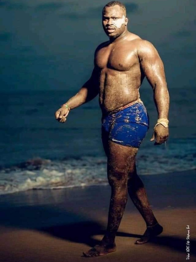 LE ROI DES ARÈNES MODOU LÔ AU TOP DE SA FORME LE ROI DES ARÈNES MODOU LÔ AU TOP DE SA FORME