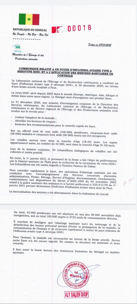 Pout, premier foyer de la Grippe aviaire: 58.000 pondeuses mortes enregistrées