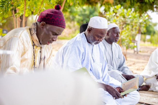Sénégal: L’Entrepreneur Social Thione NIANG construit l'Institut d'Agriculture et de Leadership. Sénégal: L’Entrepreneur Social Thione NIANG construit l'Institut d'Agriculture et de Leadership.