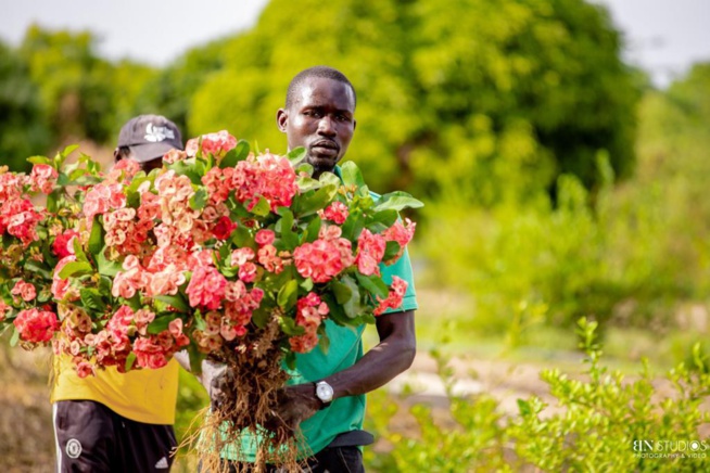 Sénégal: L’Entrepreneur Social Thione NIANG construit l'Institut d'Agriculture et de Leadership. Sénégal: L’Entrepreneur Social Thione NIANG construit l'Institut d'Agriculture et de Leadership.