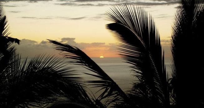 «Des chiens enragés»: un maire agressé à La Réunion par des candidats d’une téléréalité – vidéo «Des chiens enragés»: un maire agressé à La Réunion par des candidats d’une téléréalité – vidéo