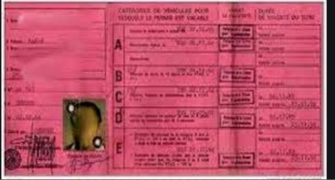 Désormais, circuler avec les permis «rose» est une infraction Désormais, circuler avec les permis «rose» est une infraction