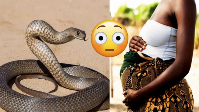 Kawtef – femme bi lou yémé moko dal,dafa eumbeu diane « serpent » té amoul dieukeur…
