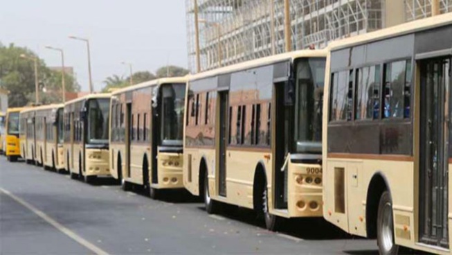 Bamboula à Dakar Dem Dikk : les épouses dans les bus, le DG roule en Lang Cruiser Platinum