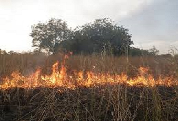 Kaffrine : Le cri du cœur des populations pour une protection contre les feux de brousse