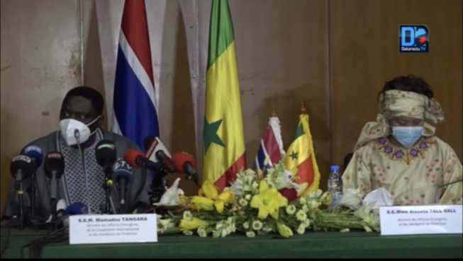 Trafic illicite de bois: ce que craint la Gambie sur l'écosystème sénégalo-gambien Trafic illicite de bois: ce que craint la Gambie sur l'écosystème sénégalo-gambien