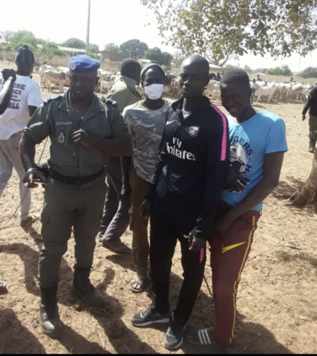 Kaffrine: agressions, meurtre: A.Kâ piégé par les pandores Kaffrine: agressions, meurtre: A.Kâ piégé par les pandores