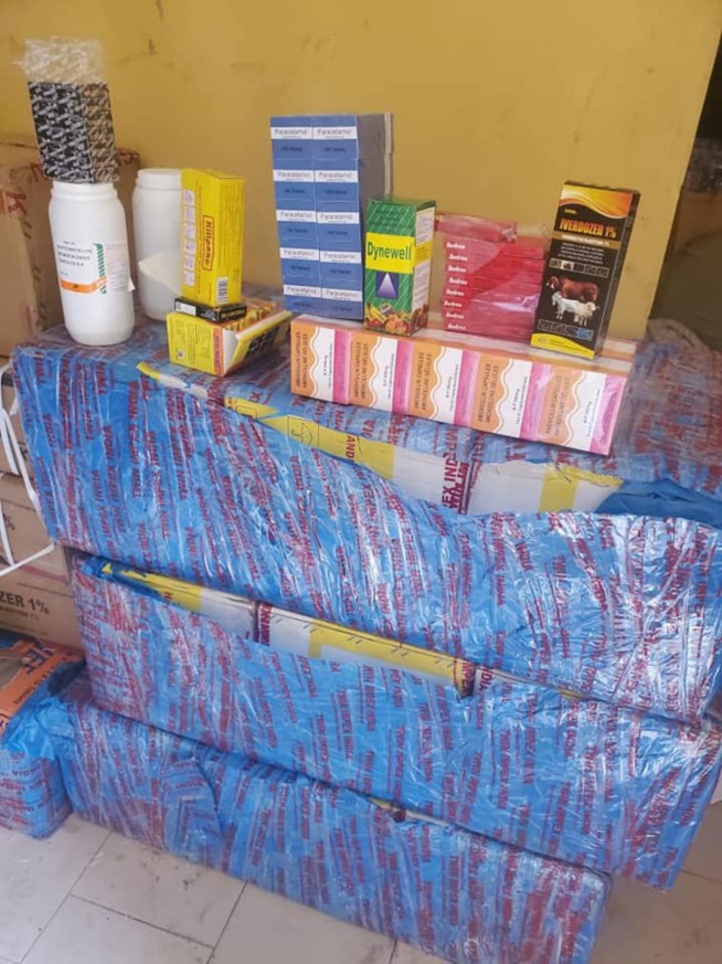 A Koungheul et Mbour: Saisie de 634 kg de chanvre indien par la Douane A Koungheul et Mbour: Saisie de 634 kg de chanvre indien par la Douane