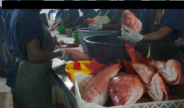 Tension à Keur Mousseu : Vive polémique autour de l’implantation d’une poissonnerie Tension à Keur Mousseu : Vive polémique autour de l’implantation d’une poissonnerie