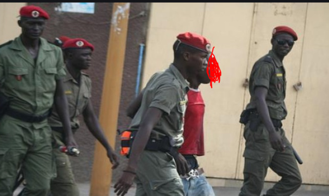 Arrestation d’un baron de la drogue à Keur Mbaye Fall Arrestation d’un baron de la drogue à Keur Mbaye Fall