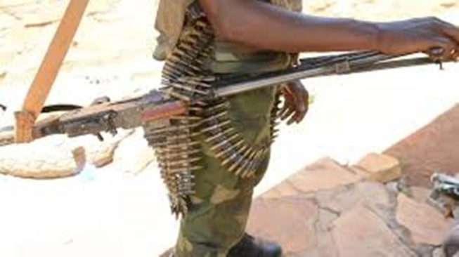 Centrafrique: les groupes armés écartent plusieurs de leurs membres, dont un ministre