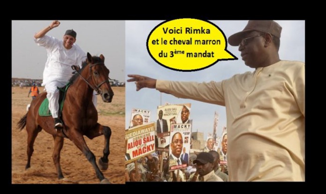 Révélations ! les négociations secrètes entre Macky et Karim Wade Révélations ! les négociations secrètes entre Macky et Karim Wade