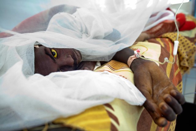Santé /La fièvre jaune fait deux morts, 800.000 personnes en instance de vaccination Santé /La fièvre jaune fait deux morts, 800.000 personnes en instance de vaccination