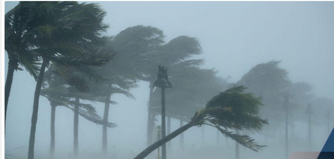 Alerte à un vent fort et une houle dangereuse Alerte à un vent fort et une houle dangereuse