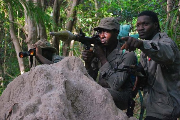 Casamance : ses bastions 2, 9 et celui de Sikoun démantelés, le MFDC promet un retour