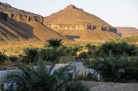 La Mauritanie consomme trois fois plus qu’elle ne produise en matière de ressources forestières