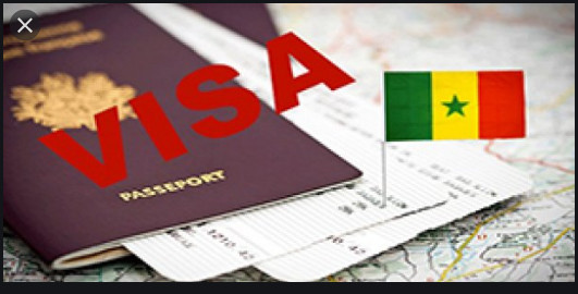 Visas: Mamadou Diouf proposait des passeports diplomatiques Visas: Mamadou Diouf proposait des passeports diplomatiques
