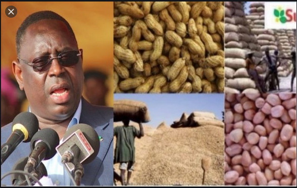 Campagne de commercialisation arachidière: Le Président Sall salue le bon déroulement