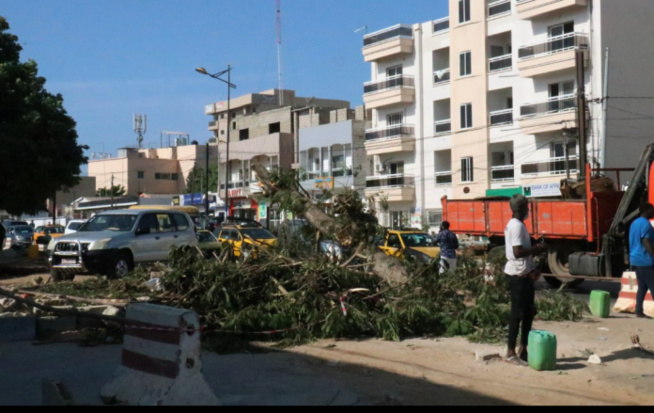 Axe Bourguiba-Castors : L’Ageroute annule les travaux de l’autopont Axe Bourguiba-Castors : L’Ageroute annule les travaux de l’autopont