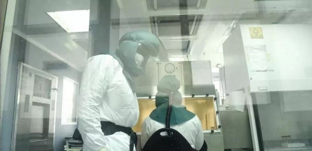 Covid-19 : Dace à l'urgence, le Sénégal va commander les cinq principaux vaccins du marché Covid-19 : Dace à l'urgence, le Sénégal va commander les cinq principaux vaccins du marché