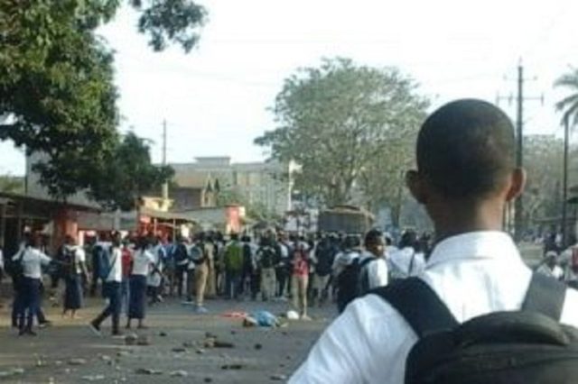 Mbacké: les élèves protestent contre l’invasion de serpents