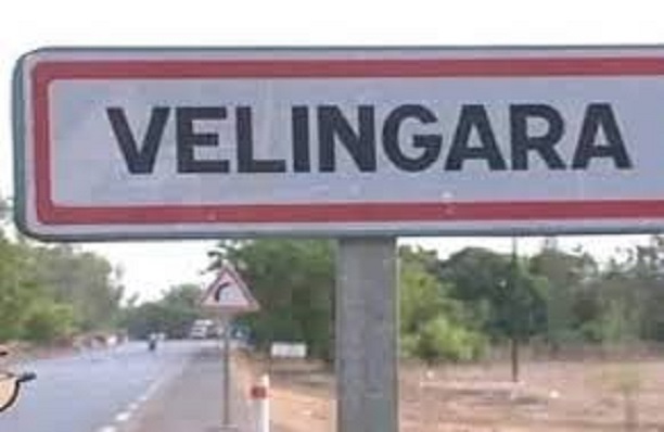 Business et retour au pays : Ébola douche les espoirs de ressortissants guinéens de Vélingara Business et retour au pays : Ébola douche les espoirs de ressortissants guinéens de Vélingara