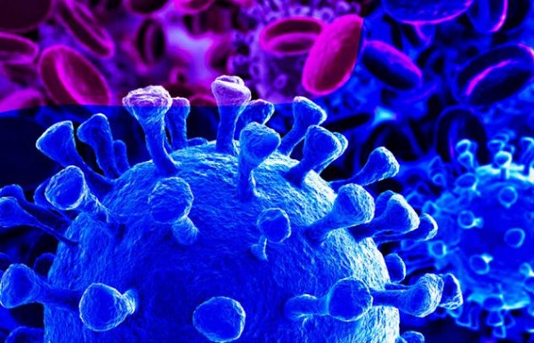 Coronavirus au Sénégal : Le Baol comptabilise 1763 cas et 136 décès, moins d’un an après son apparition Coronavirus au Sénégal : Le Baol comptabilise 1763 cas et 136 décès, moins d’un an après son apparition