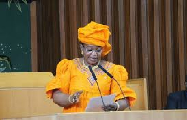 Assemblée Nationale : Aida Mbodji démonte la procédure, mais elle est submergée par des disputes Assemblée Nationale : Aida Mbodji démonte la procédure, mais elle est submergée par des disputes
