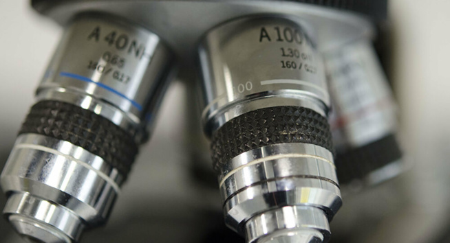 Une experte de l’Onu reconnaît ne pas avoir la formule de la substance découverte dans les échantillons de Navalny Une experte de l’Onu reconnaît ne pas avoir la formule de la substance découverte dans les échantillons de Navalny