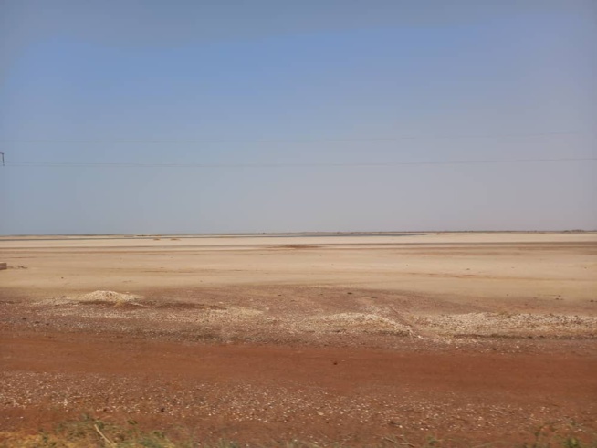 Fatick, une zone agricole à exploiter encore Fatick, une zone agricole à exploiter encore