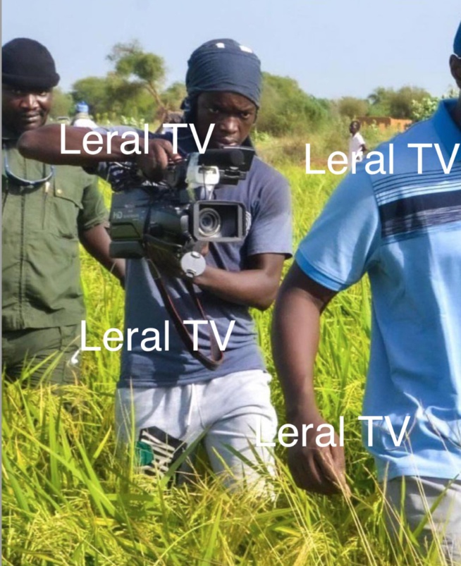 Le cameraman de Jotna TV, Ibrahima Fall libéré à son tour