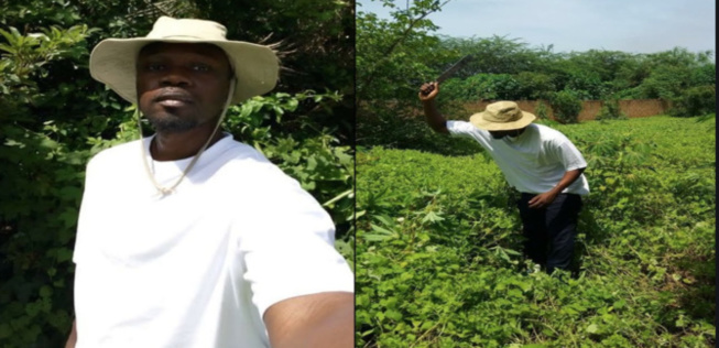 Ousmane Sonko: « J’invite les membres du Mfdc à déposer les armes » Ousmane Sonko: « J’invite les membres du Mfdc à déposer les armes »