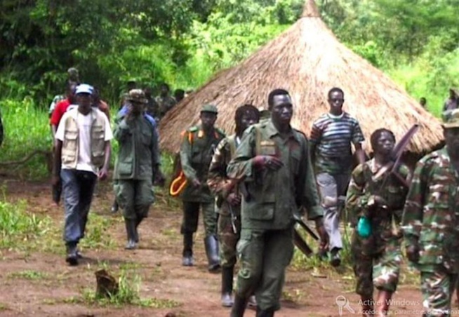 Dépôt armes en Casamance : “Nous avons écouté et entendu Sonko…” (Mfdc)